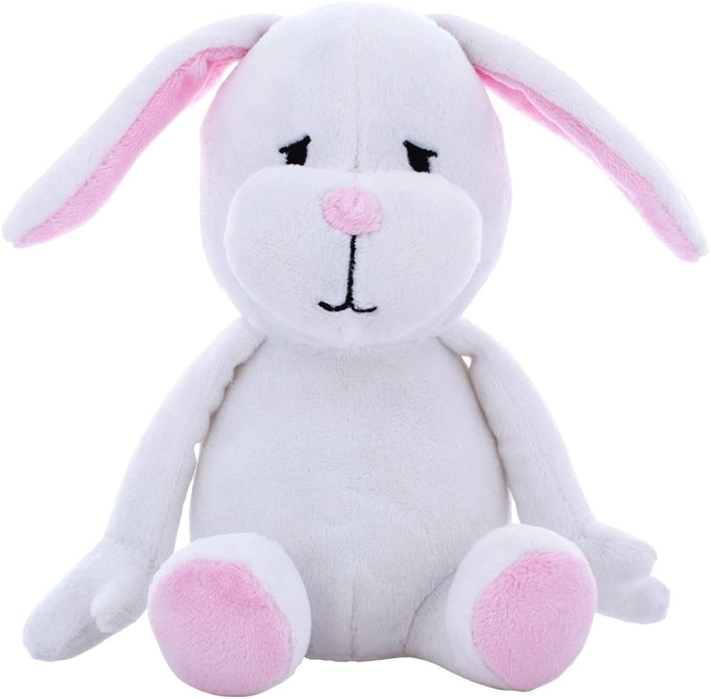 Blueberry Pet 6" Squeaky Plush Dog Toy Easter Spring Gifts for Puppies Small Dogs, Pure Bunny Rab... | Amazon (US)