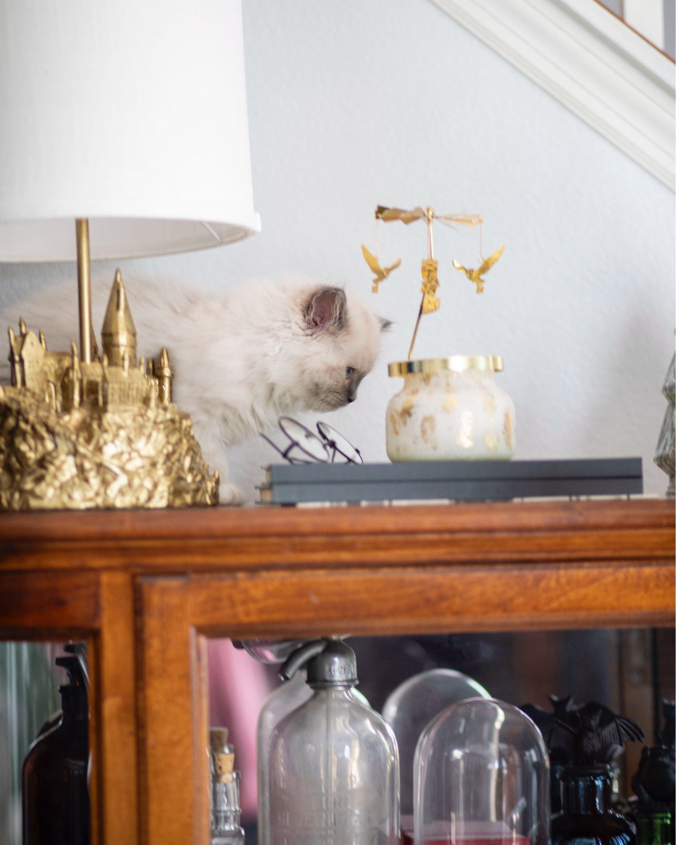 Candle Carousel from @thecharmedcastle is cat approved 👍

#LTKMostLoved #LTKhome #LTKGiftGuide