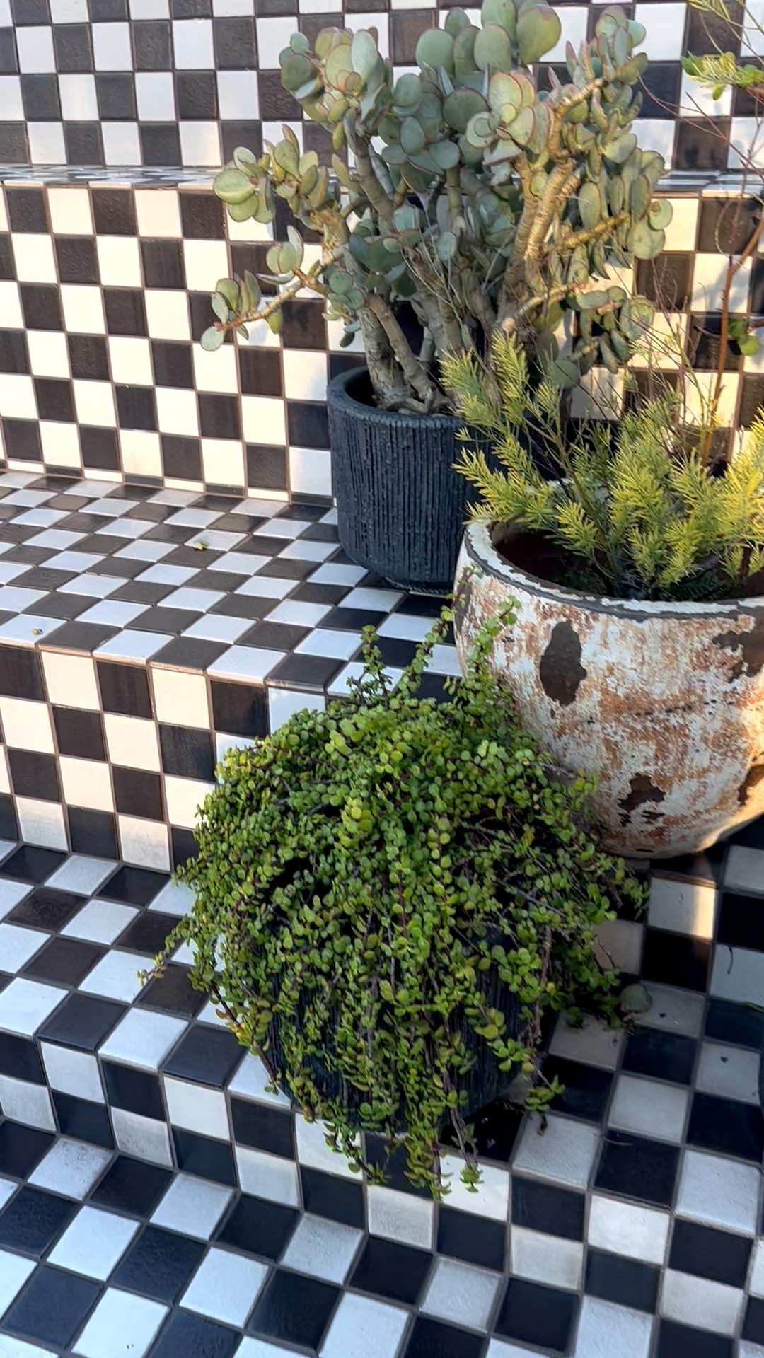 Black and white tiles—timeless, chic, and endlessly elegant. 2️⃣
#blackandwhite #flooringdesign #interiorinspo #designaesthetic

#LTKHome #LTKHoliday