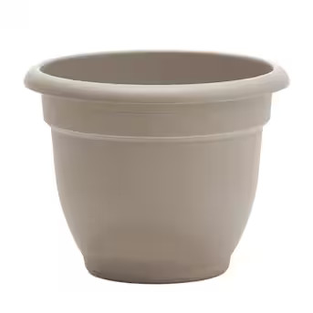 Bloem 8.75-in W x 7-in H Off-white Plastic Traditional Indoor/Outdoor Planter | Lowe's