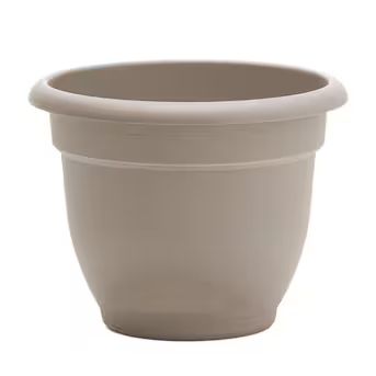Bloem 8.75-in W x 7-in H Off-white Plastic Traditional Indoor/Outdoor Planter | Lowe's