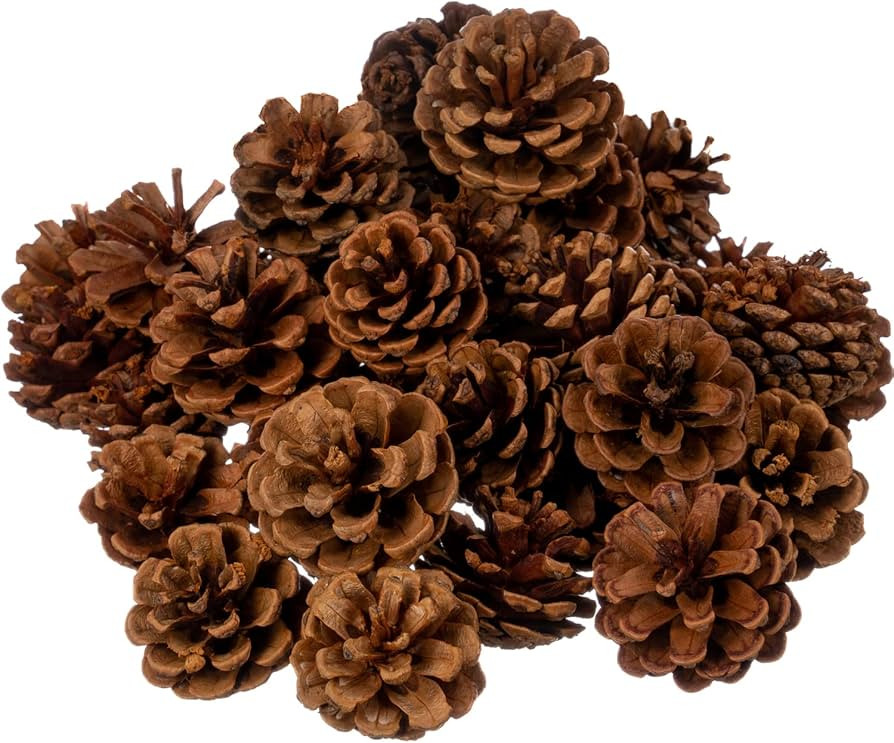 Cinnamon Scented Pinecones for Decorating - 1lb (40) Pack Small Cinnamon Pine Cones for Crafts an... | Amazon (US)