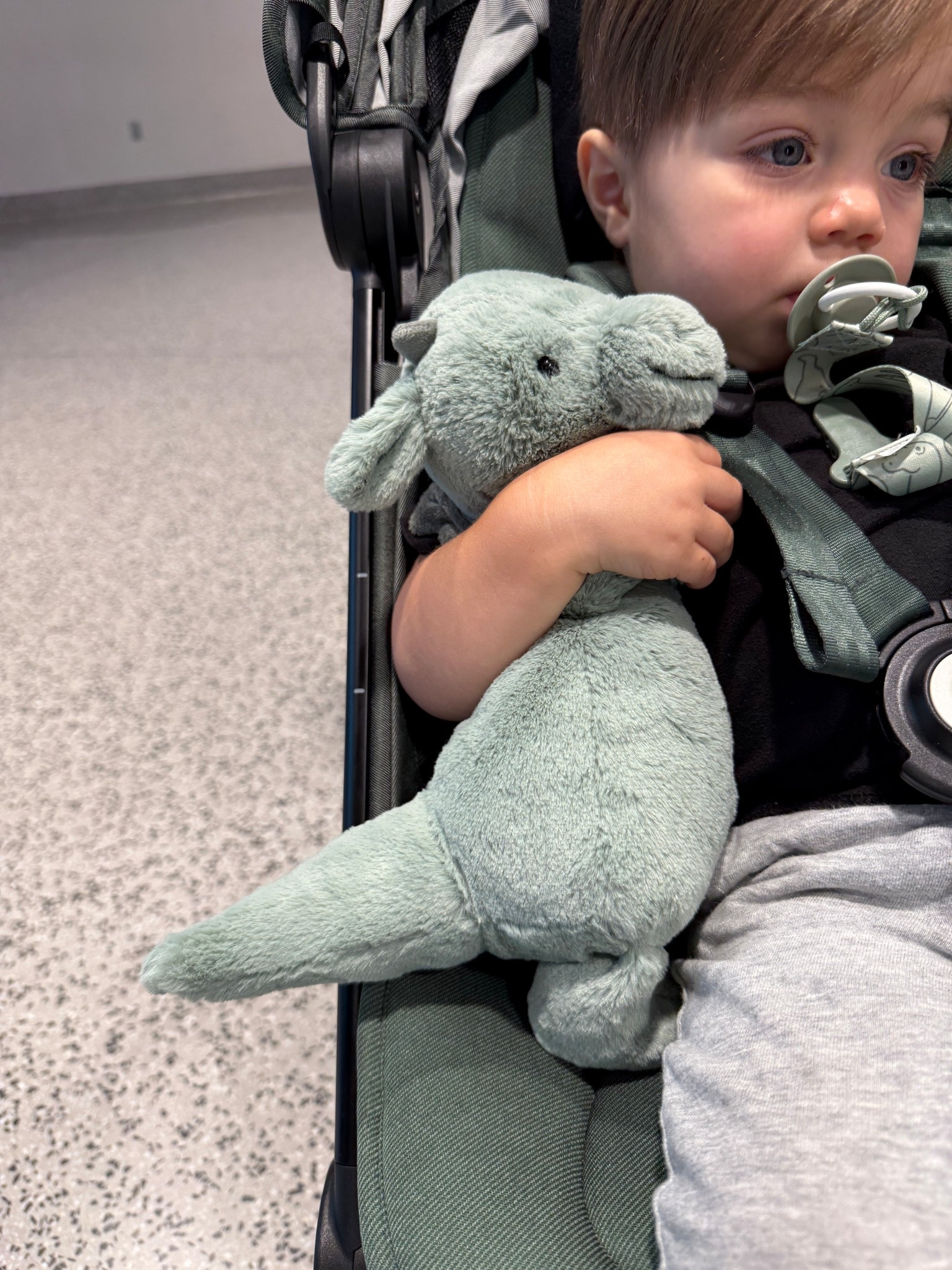 The cutest bashful dragon- my son gets to choose one animal to bring to the airport and this is always his pick 🐉

#LTKBaby #LTKFamily #LTKKids