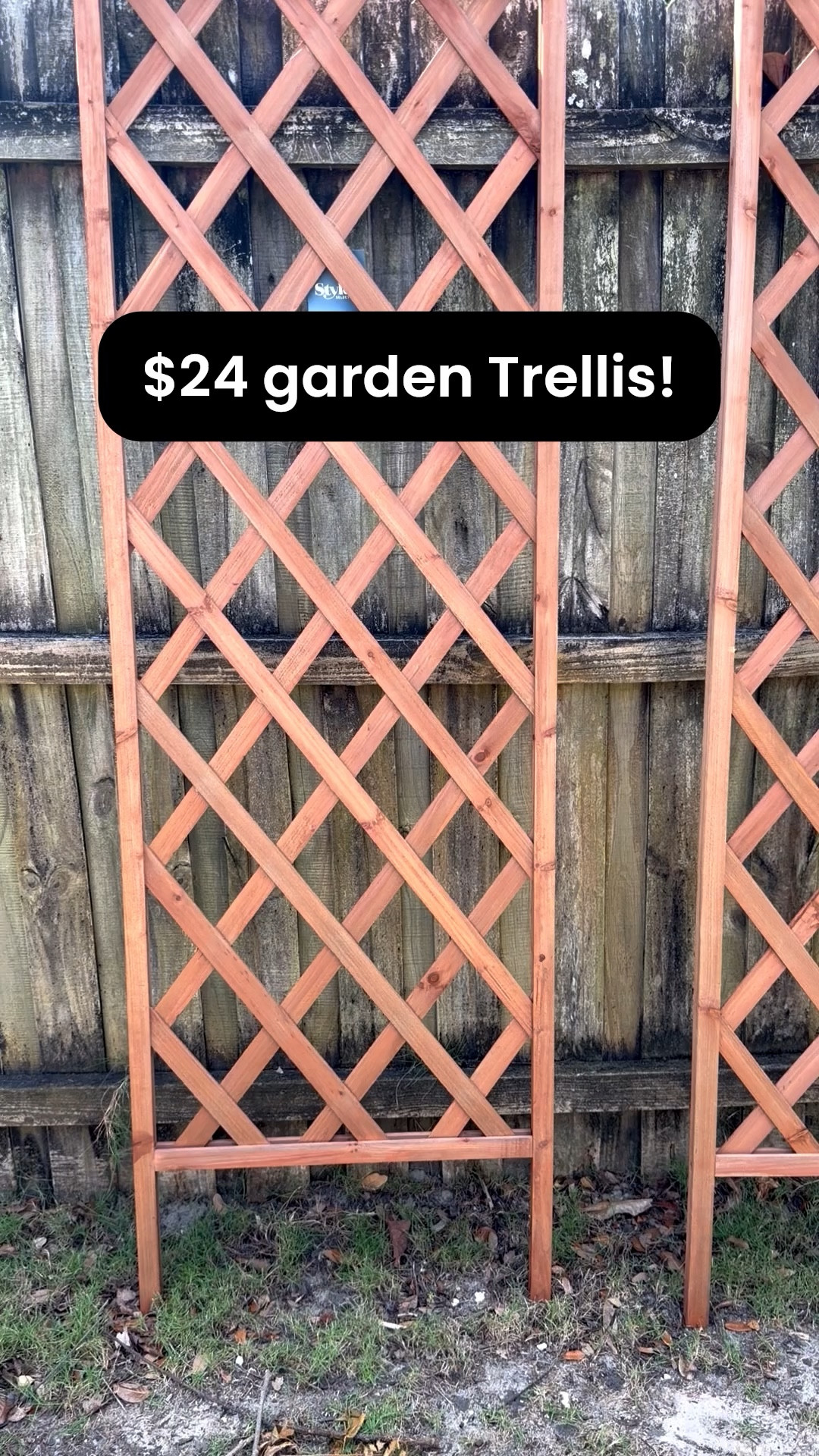 If you need an inexpensive trellis for your garden these are only $24! I’m going to grow our passion fruit vines on them 

#LTKOver40 #LTKHome