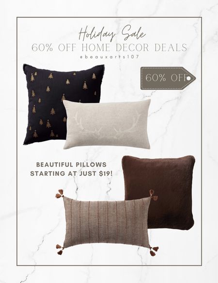 Gorgeous pillows on sale for 60% off!! 

#LTKHoliday #LTKhome #LTKsalealert