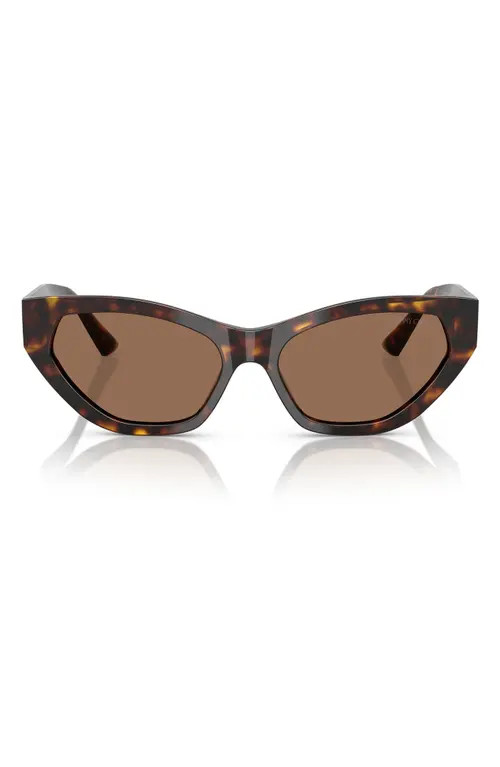 Jimmy Choo 55mm Cat Eye Sunglasses in Havana at Nordstrom | Nordstrom