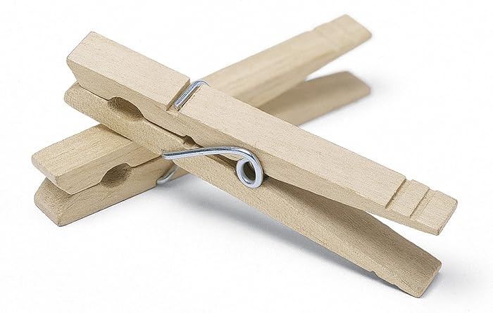 Whitmor Set of 50 Wooden Clothespins, S/50 | Amazon (US)