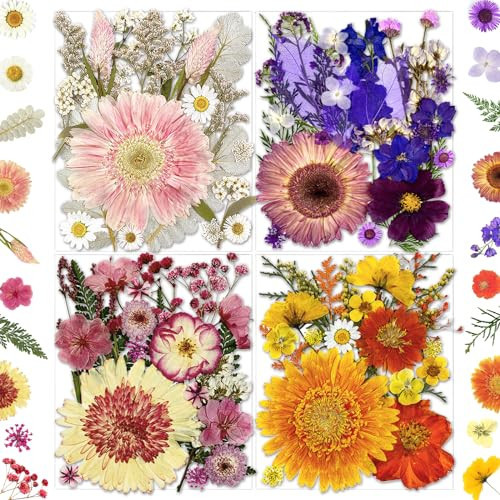 MIKIYA 98Pcs Pressed Dried Flowers for Resin Molds, Real Natural Bulk Big Dry Floral Leave for DIY Art Crafts, Epoxy Jewelry, Candle, Soap Making, Nails Decors | Amazon (US)