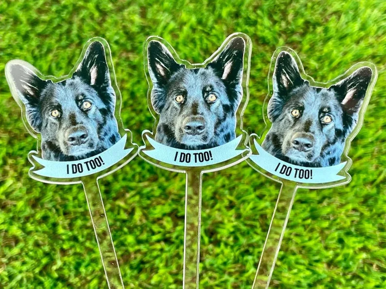 Print YOUR Dog Pet Stir Sticks, Signature Drink, I Do Too & Dog of Honor, Watercolor Acrylic Cock... | Etsy (US)