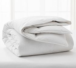Supreme 650FP White Down Duvet Insert | Pottery Barn (US)