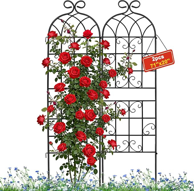 2 Pack 71" x 20" Metal Garden Trellis for Climbing Plants Outdoor, Heavy Duty Plant,Perfect for C... | Amazon (US)