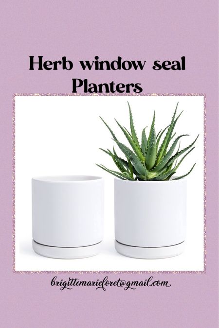 6 inch white windows, seal, herb planters

#LTKhome