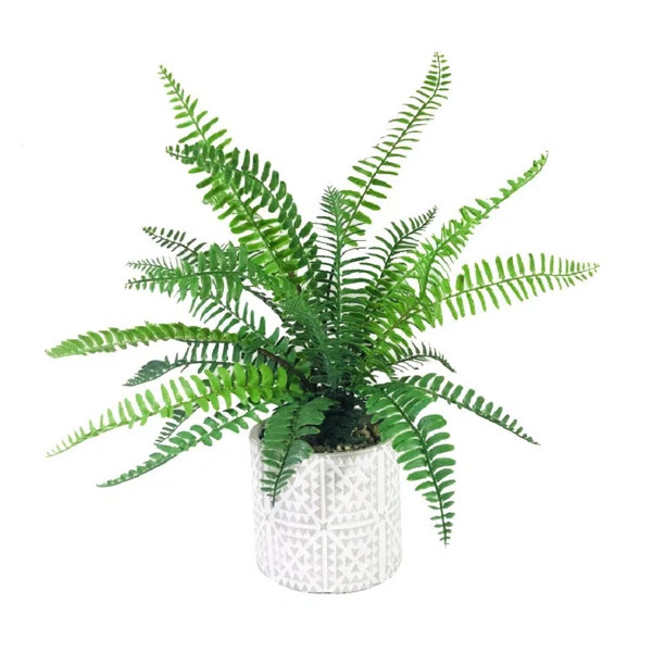11.25" Artificial Fern Plant in Pot | Wayfair North America