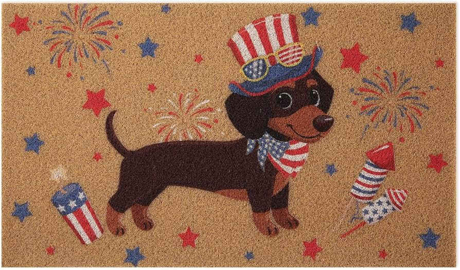 Tinideya Doormat Artificial Coir Door Mat Rug 27 x 16 Inch Dog Pattern Non Slip Doormats for Home... | Amazon (US)