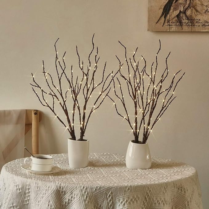 Fudios Lighted Branches 18IN 70 Warm White LED with Timer Twig Lights Battery Operated for Christ... | Amazon (US)