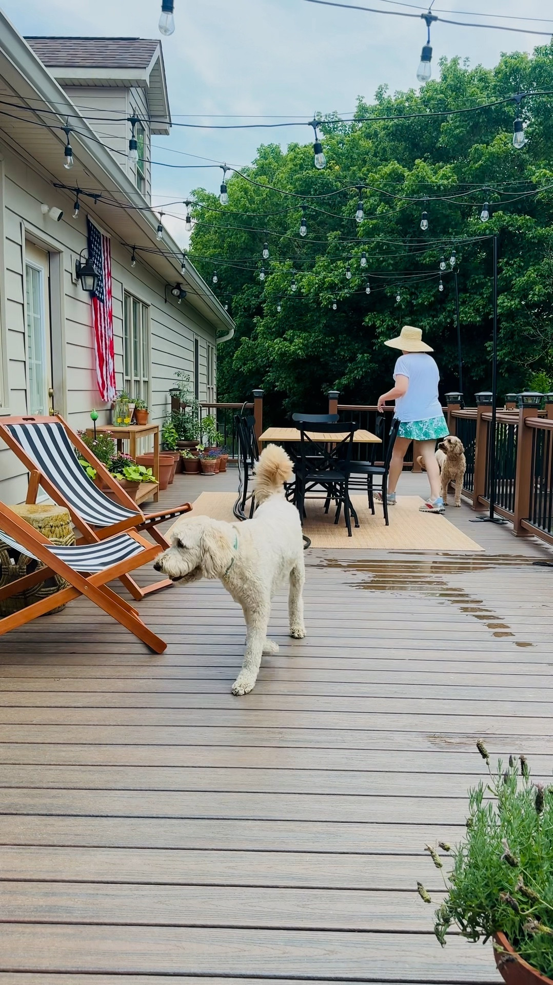 Love how my patio is all coming together 
We love a high low mix 
Bistro aesthetic 
Teak dining table on sale 
Stain resistant rug 

#LTKHome #LTKSaleAlert