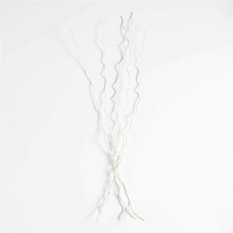 Dried Curly Willow Branches, Set of 5 + Reviews | Crate & Barrel | Crate & Barrel