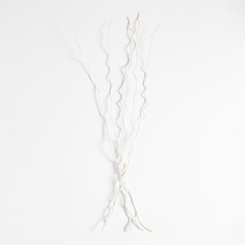 Dried Curly Willow Branches, Set of 5 + Reviews | Crate & Barrel | Crate & Barrel