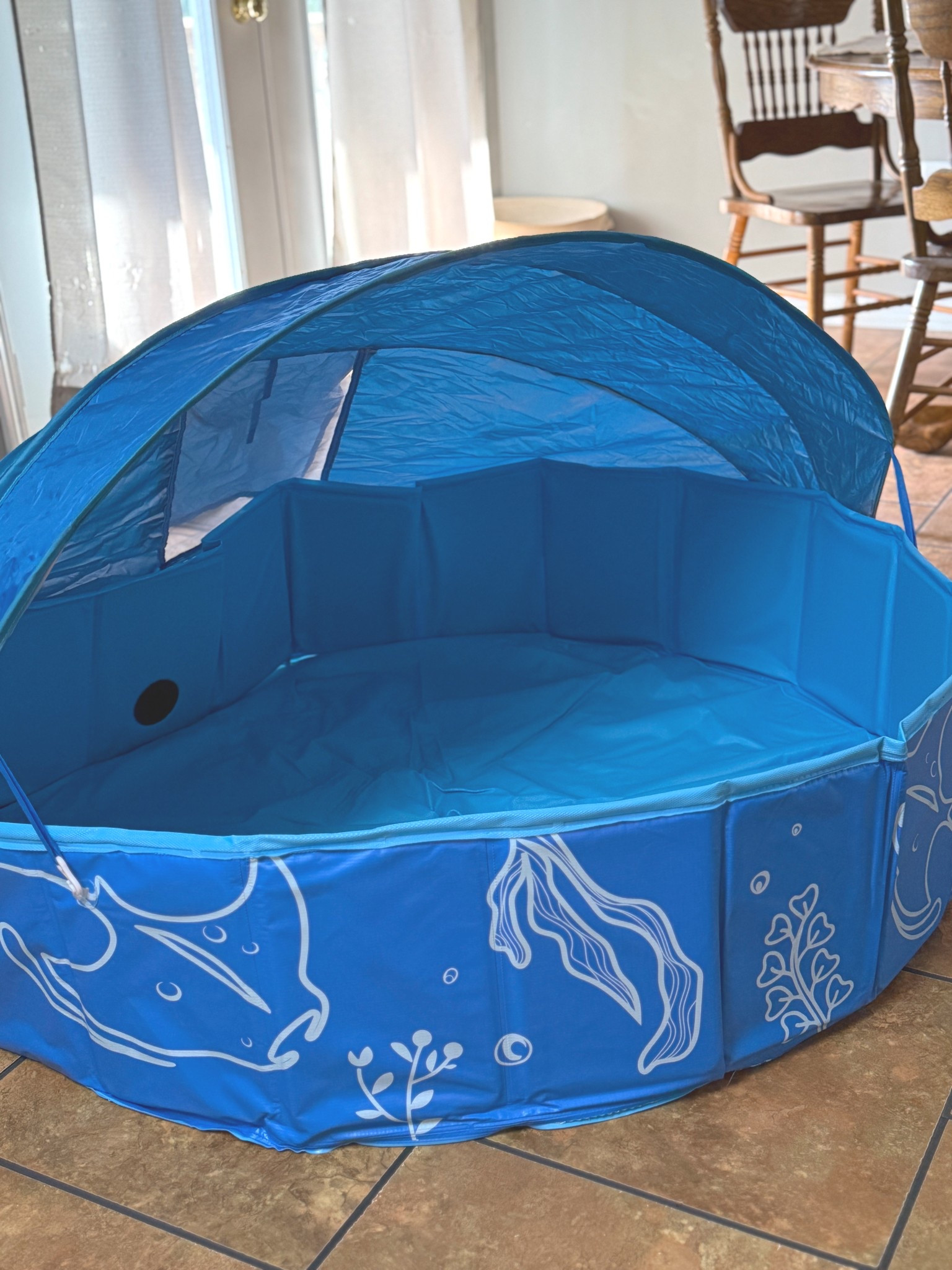 This baby pool is huge!!! it has a canopy! i can’t wait for summer to use it 💙💙

#LTKFamily #LTKSwim #LTKBaby