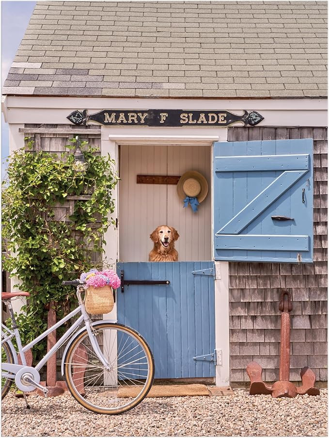 Galison Gray Malin Nantucket – 1000 Piece Book Puzzle with Dreamy Nantucket Photography Package... | Amazon (US)