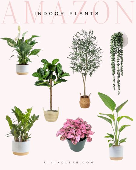 Amazon indoor plants | Home decor | Greenery | Home decor for Spring | Amazon finds | Faux plants | Indoor plants

#LTKhome #LTKSeasonal #LTKfindsunder50