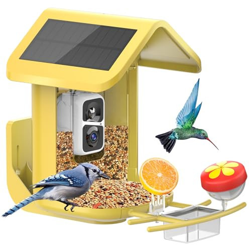 Bird Feeder with Camera Solar Powered : Smart Camera Bird Feeder 2K Live Feed Cam for Outdoor Backyard - Ai Identify Auto Capture Videos Pictures, Gifts for Birdlover Mom Dad, 2.4GHz WiFi | Amazon (US)