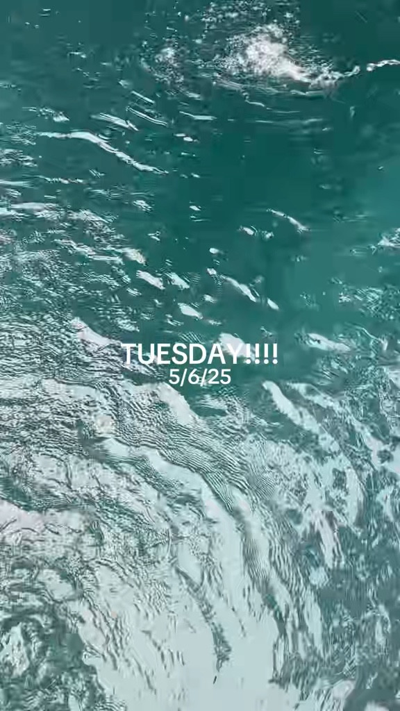 Day in my life !!! 5/6/25 

Outfit of the day, workout outfit, Anthropologie haul, shopping haul, watch now

#LTKFindsUnder50 #LTKSeasonal #LTKFindsUnder100