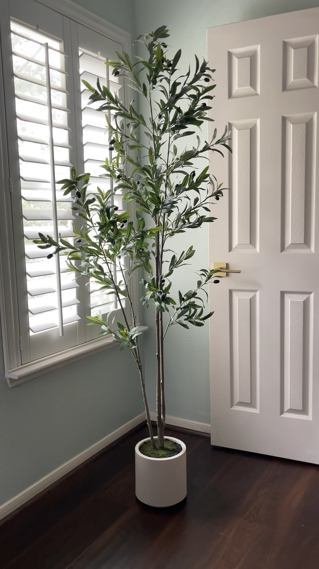 As much as I love having live houseplants around, certain decorative plants just don’t do do as well indoors. 

So instead of trying to keep a real one alive, we opted for a faux olive tree to decorate the corner of our room that doesn’t get as much light. 

Related: faux foliage, realistic looking fake tree, potted olive tree,  home decor, neutral decor

#LTKFindsUnder100 #LTKHome #LTKStyleTip