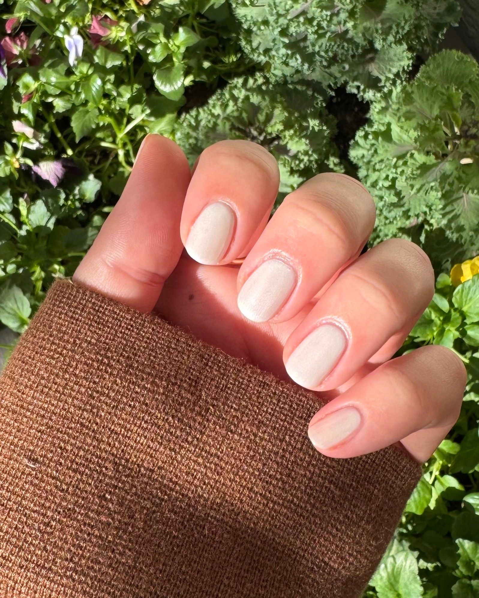 Took a break from pastels for a spring pearlescent 10/10 recommend 😉

#LTKselfcare #LTKBeauty