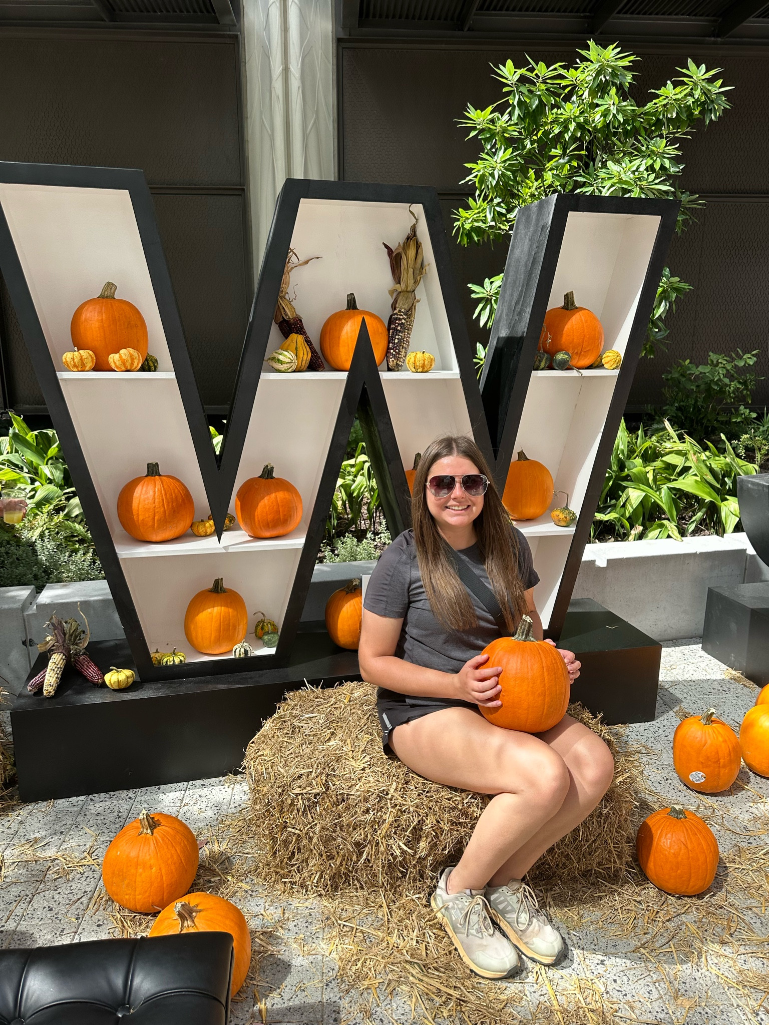 Check out my athleisure look for the Tampa farmers market!☀️

#athleisure #pumpkinpatch #falllooks

#LTKfitness #LTKmidsize #LTKSeasonal