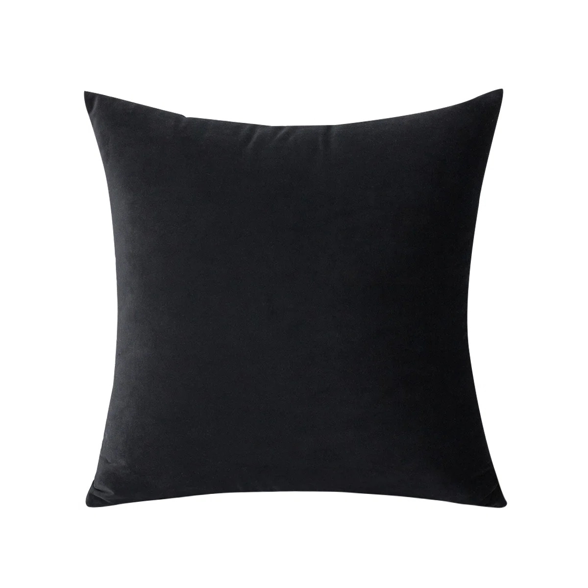 Square Velvet Pillow Cover and Insert | Wayfair North America