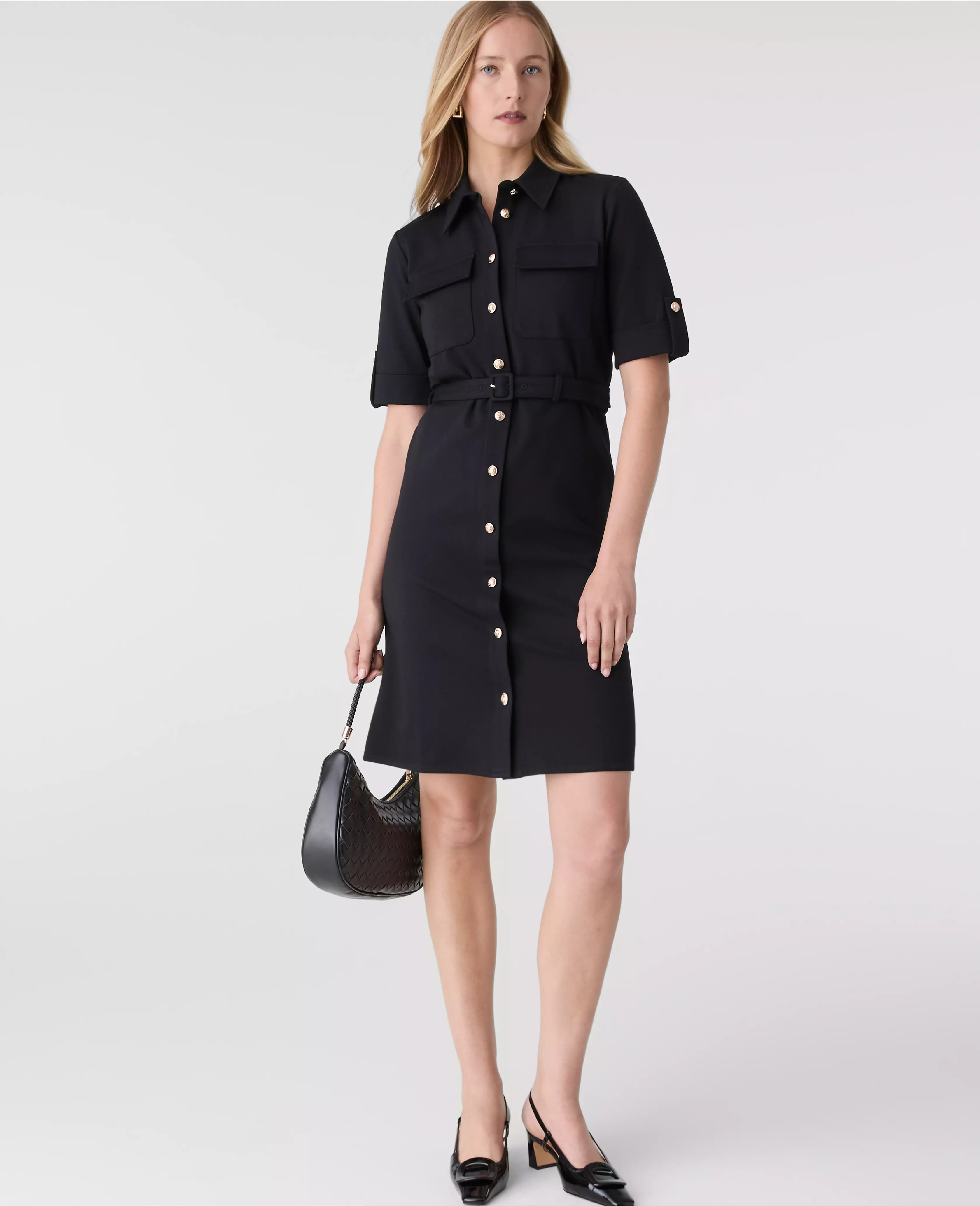 Belted Flare Dress | Ann Taylor