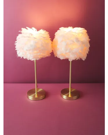 Pink feather deals lamp home goods