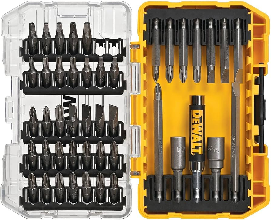 DEWALT Screwdriver Bit Set with Tough Case, 45-Piece (DW2166), Grey/Silver Screwdriving Set with ... | Amazon (US)