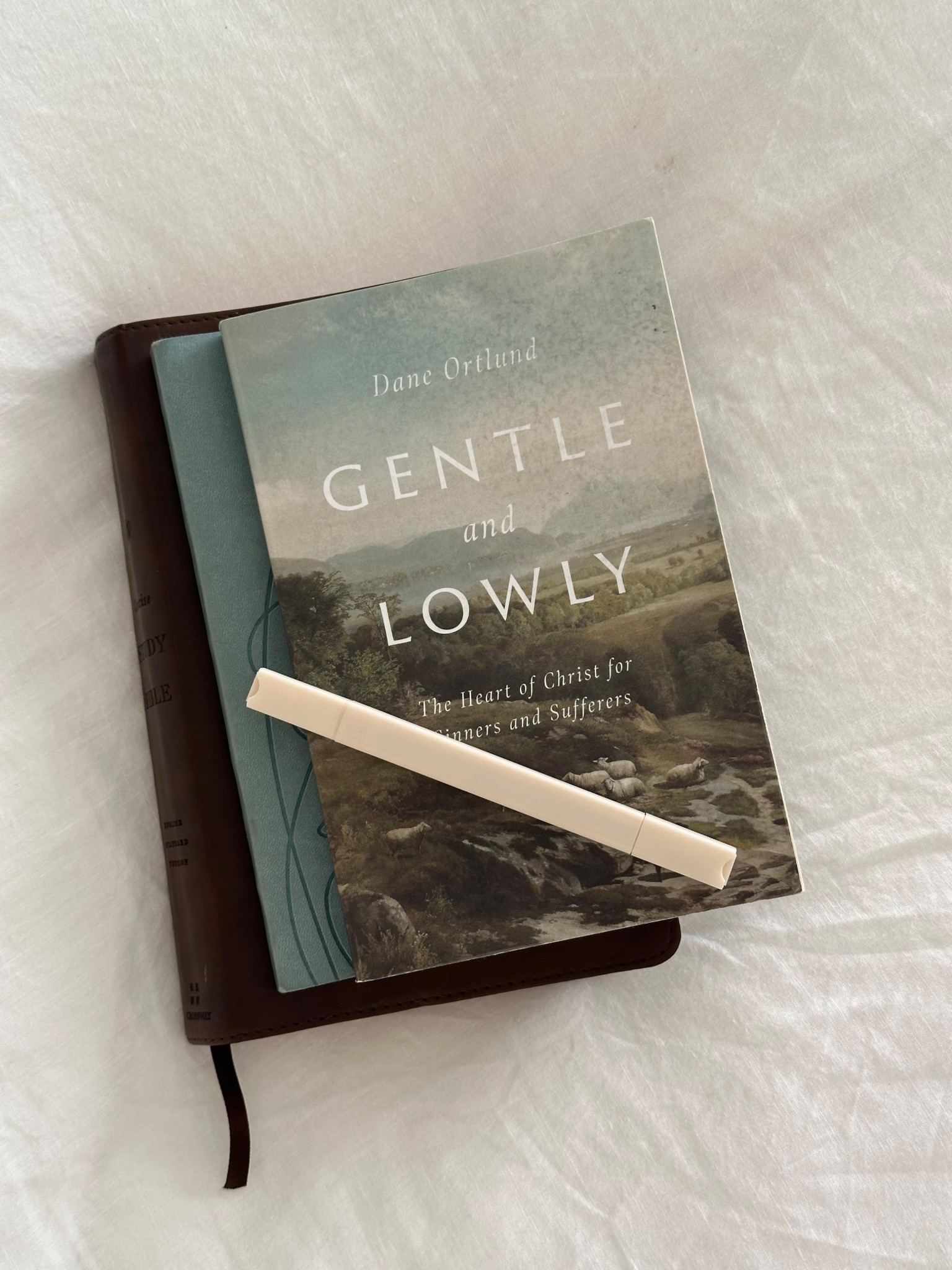 Current bible study essentials! Gentle and Lowly has been my new favorite read 📖🤍

#LTKHome #LTKFindsUnder50 #LTKGiftGuide