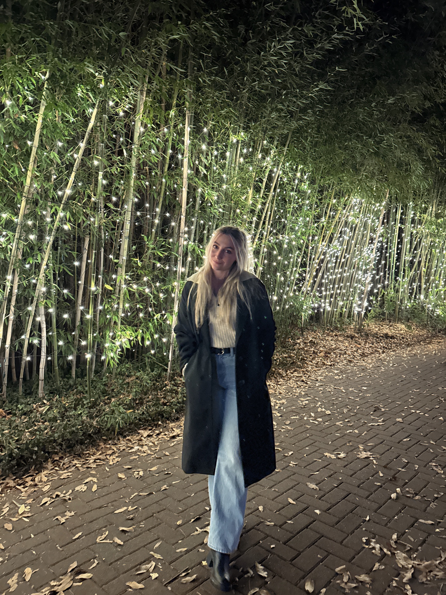 Winter outfit, sweater outfit, cold date night, long coat outfit, winter aesthetic 2024, winter fashion, winter fits, holiday outfit, trendy outfit

#LTKSeasonal #LTKHoliday