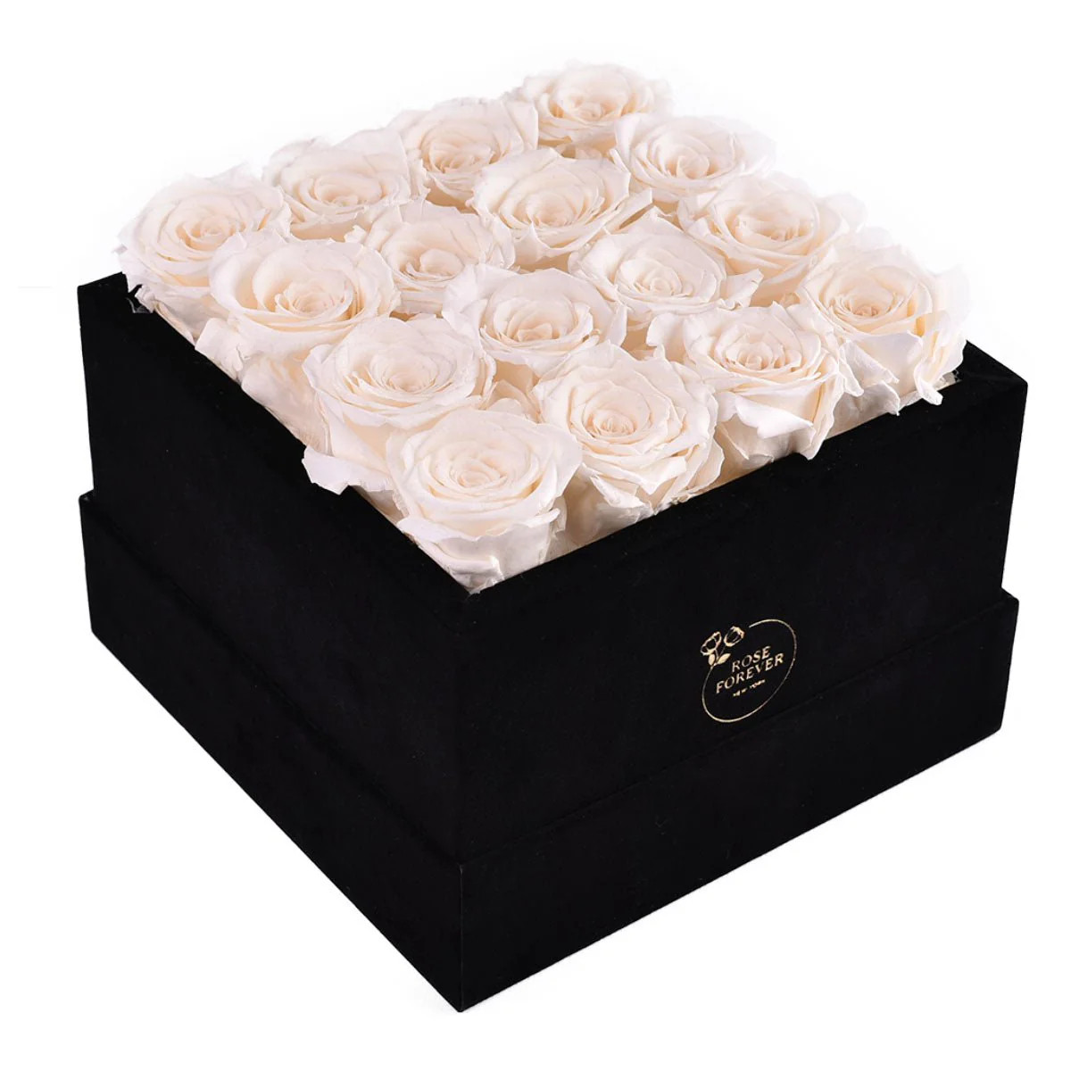 16 Ivory Roses - Black Square Velvet Box | Rose Forever 