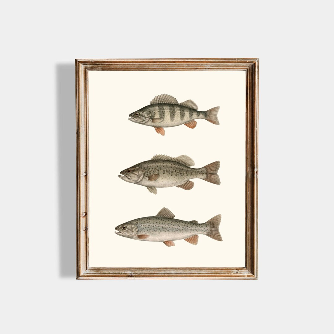 Vintage Fish Wall Art Printable, Fishing Nursery Decor, Rustic Cabin Wall Art, Woodland Boys Room... | Etsy (US)
