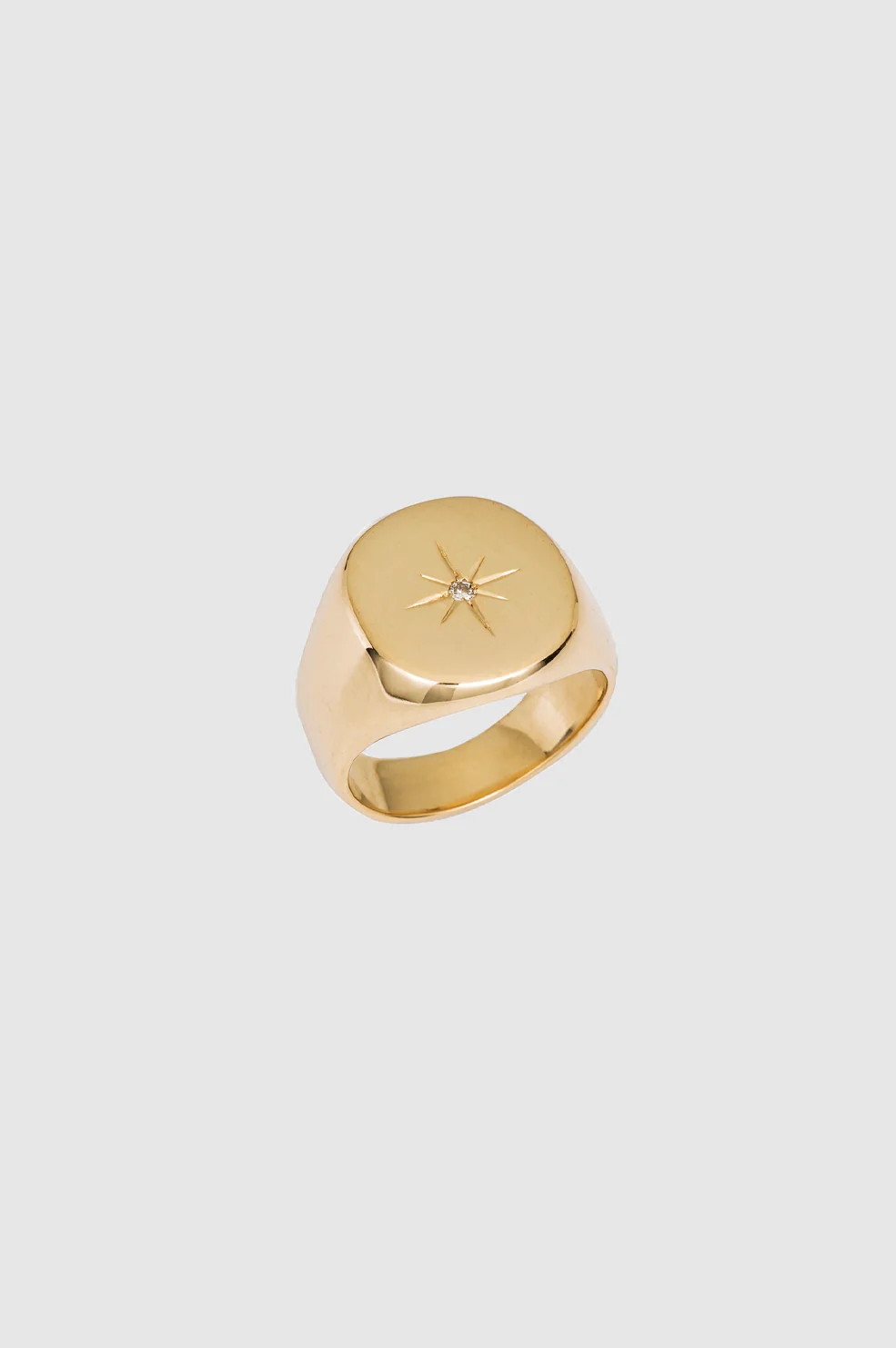 ANINE BING Signet Ring in 14k Gold | Anine Bing
