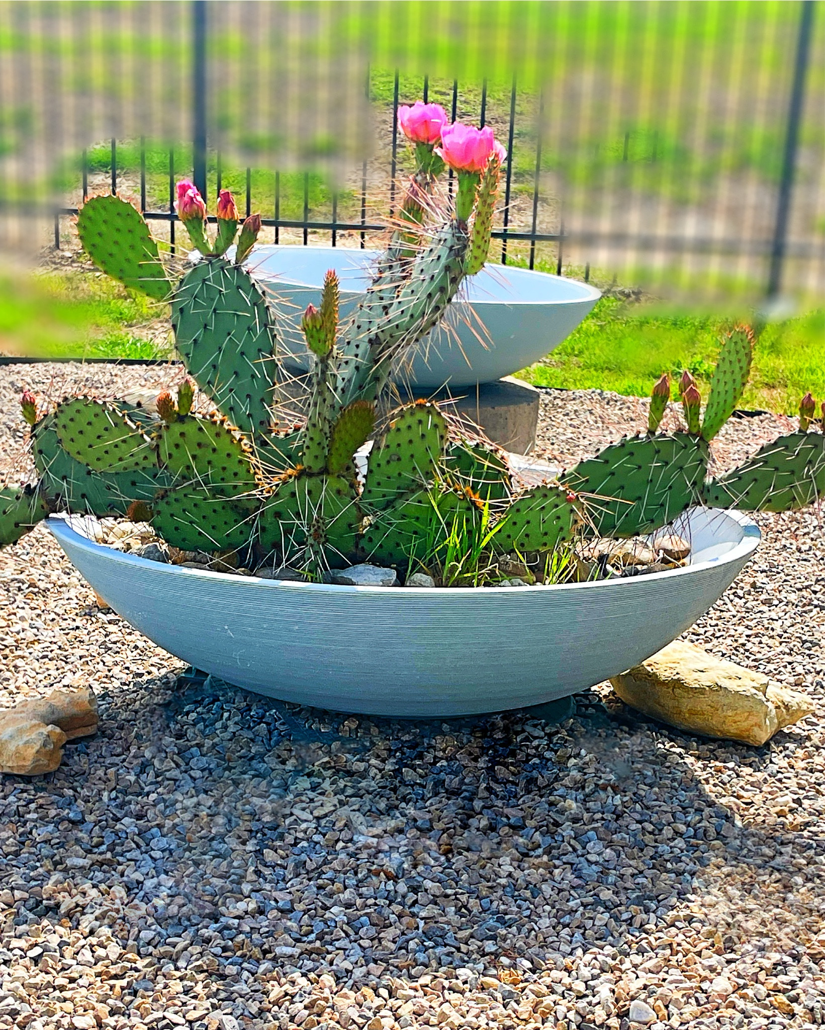 Perfect Modern Planters for a fraction of the price as Restoration Hardware or West Elm. Lightweight and comes in other colors. Two sizes. This one is the Larger 36inch

#LTKSeasonal #LTKHome #LTKFindsUnder100