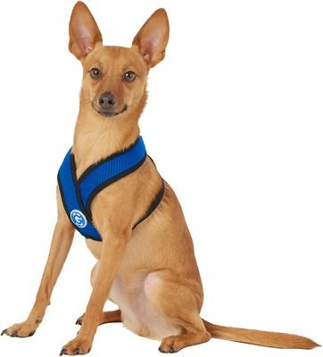 Gooby Comfort X Mesh Dog Harness | Chewy.com