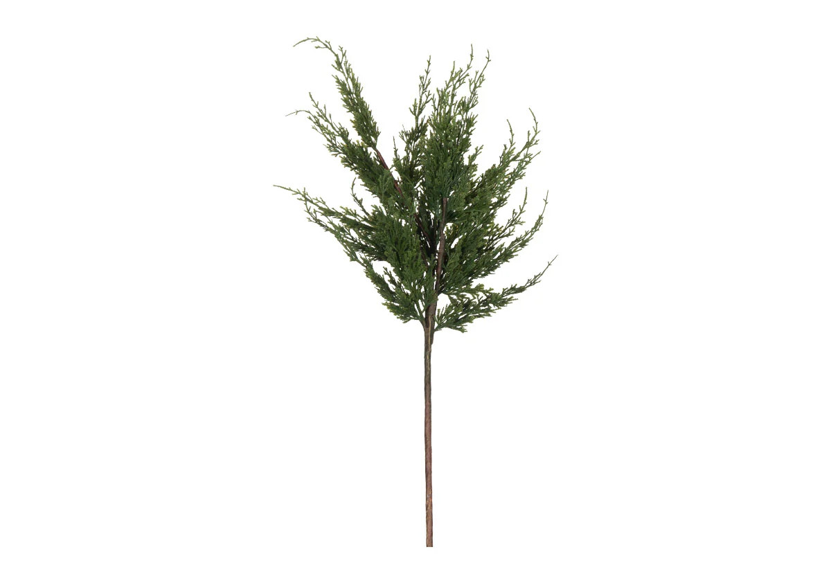 CEDAR STEM | Alice Lane Home Collection