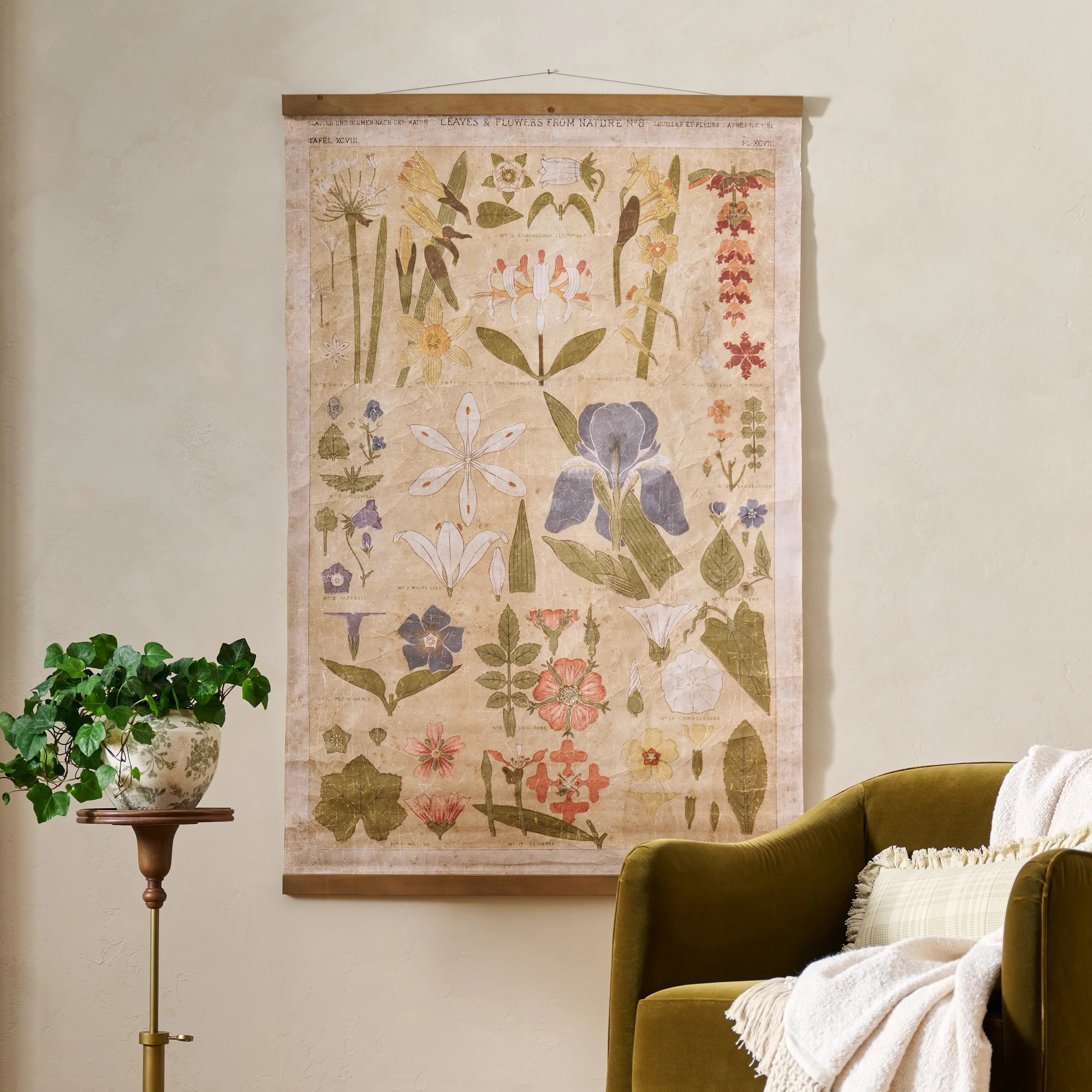 Antique Botanical Study II Tapestry | Magnolia