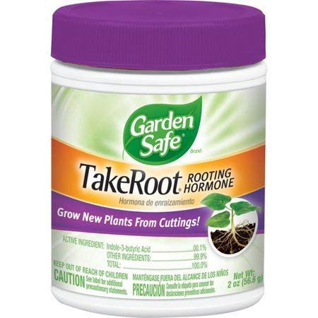 Garden Safe TakeRoot Rooting Hormone for Plants, 2-Ounce (1 Pack) Made in USA | Amazon (US)