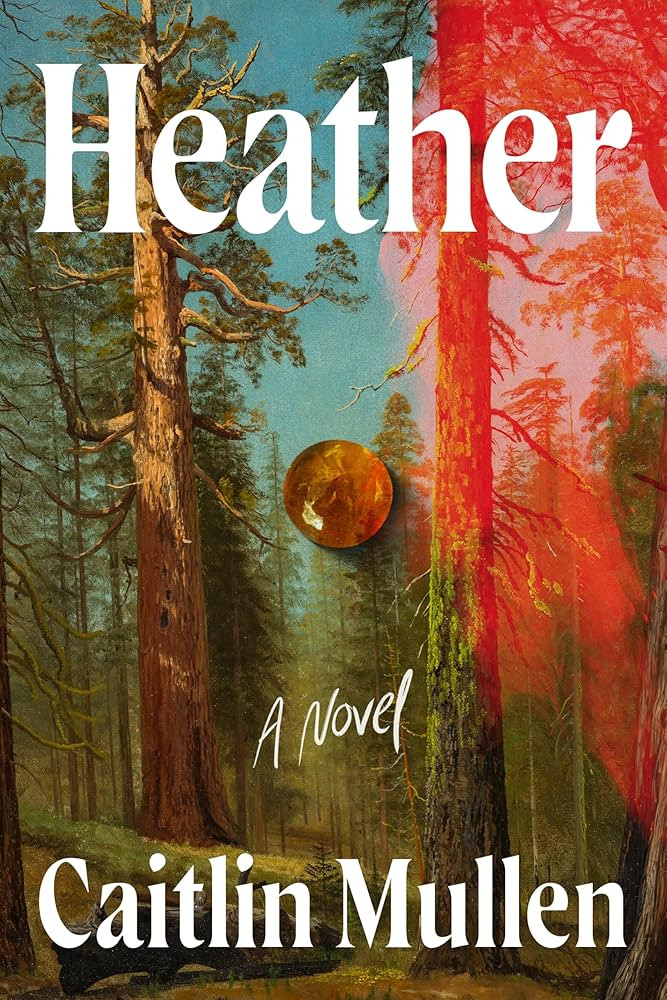 Heather: A Novel | Amazon (US)