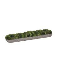 41 Inch Outdoor Covered Porch Safe Sedum In Cement Planter | TJ Maxx