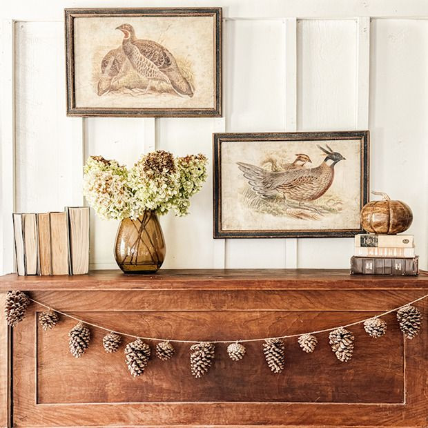 Framed Pheasant Prints Set of 2 | Antique Farm House