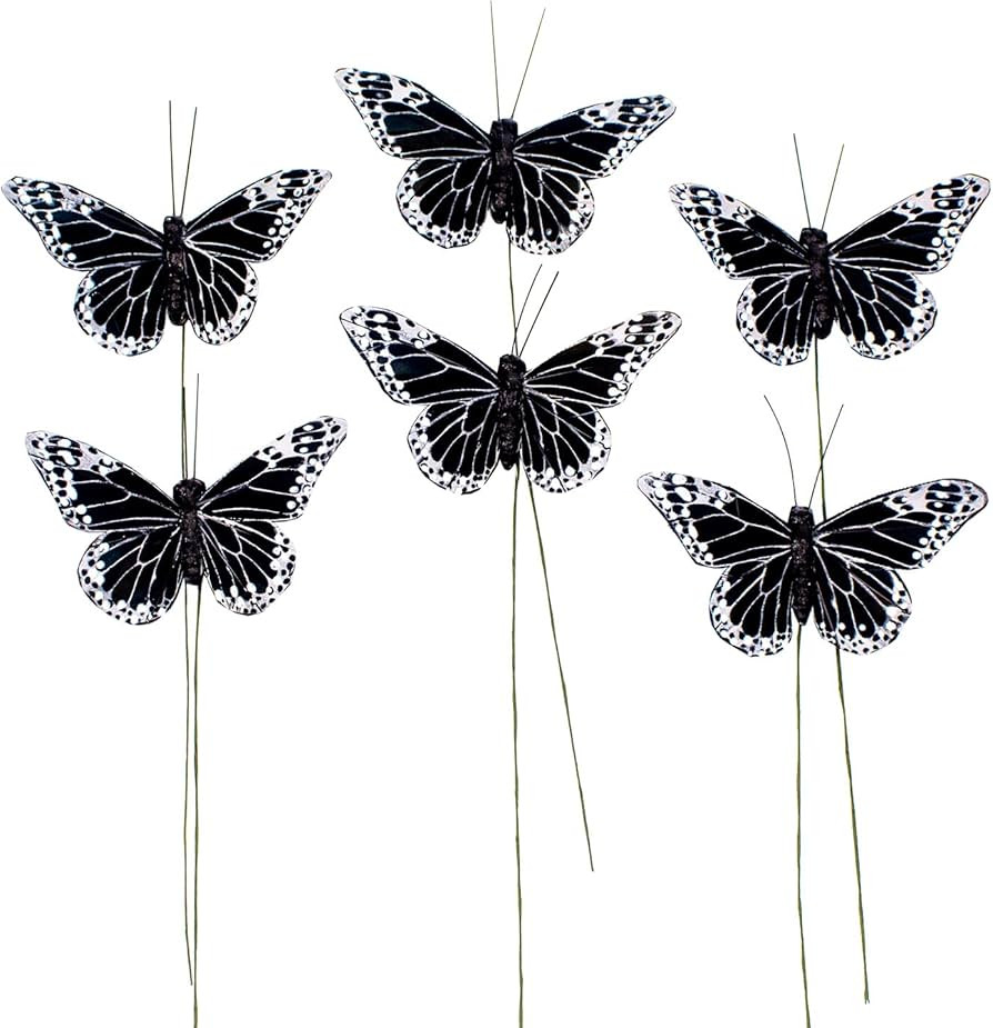 Berfutall-Feather Butterfly Decoration Set of 12 pcs Black Butterflies Butterfly Party Decoration... | Amazon (CA)
