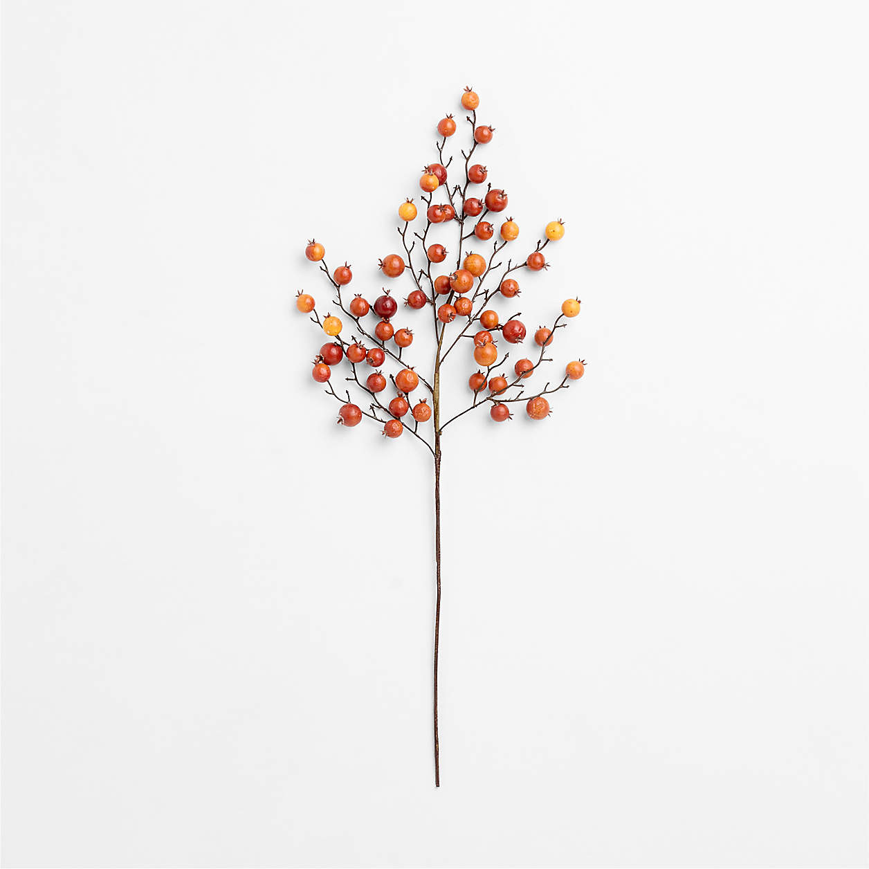 Faux Orange Crab Apple Stem 32" | Crate & Barrel | Crate & Barrel