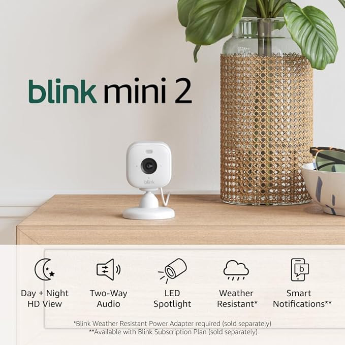 Blink Mini 2 — Home Security & Pet Camera with HD video, color night view, motion detection, tw... | Amazon (US)